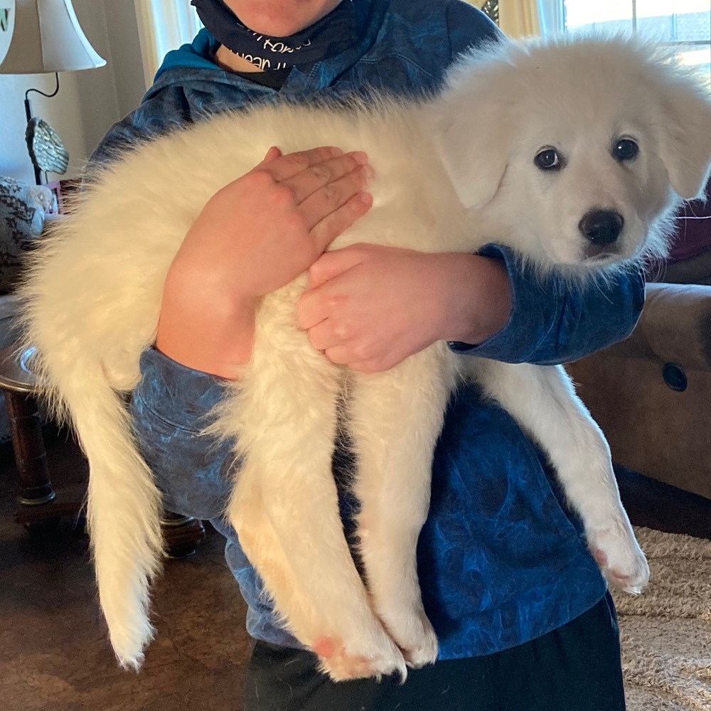 Meet your Posher, Linnie